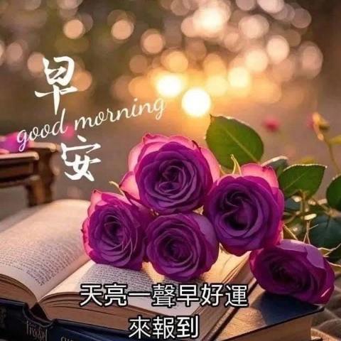 好玩